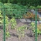 Garden Zone Garden Craft 48 in. H X 50 ft. L Steel Welded Wire Fence 2x3 in. 034850 - alternate 7